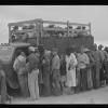 Workers arrive in the fields hoping to be assigned jobs during the height of the great depression.